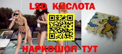 твердый Новозыбков
