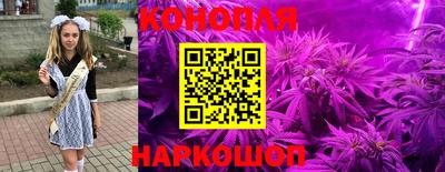 твердый Новозыбков