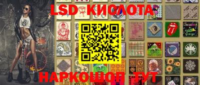 твердый Новодвинск