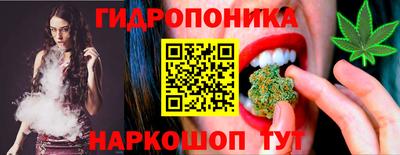 твердый Новодвинск